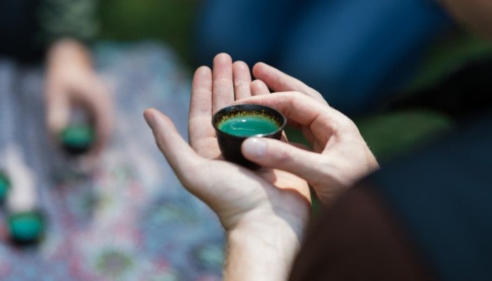 Foraging Person holding small cup of tea.