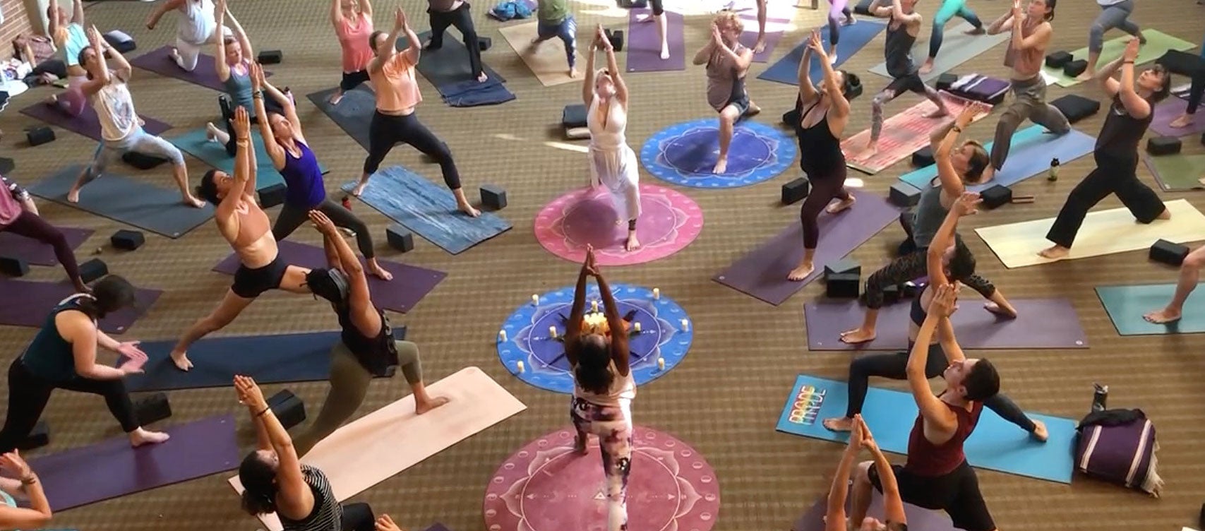 Shiva Rea class yoga class